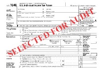 tax settlement professional audit representation